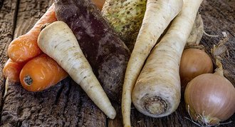 Schwarzwurzeln werden auch