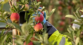 Copyright: REWE Group